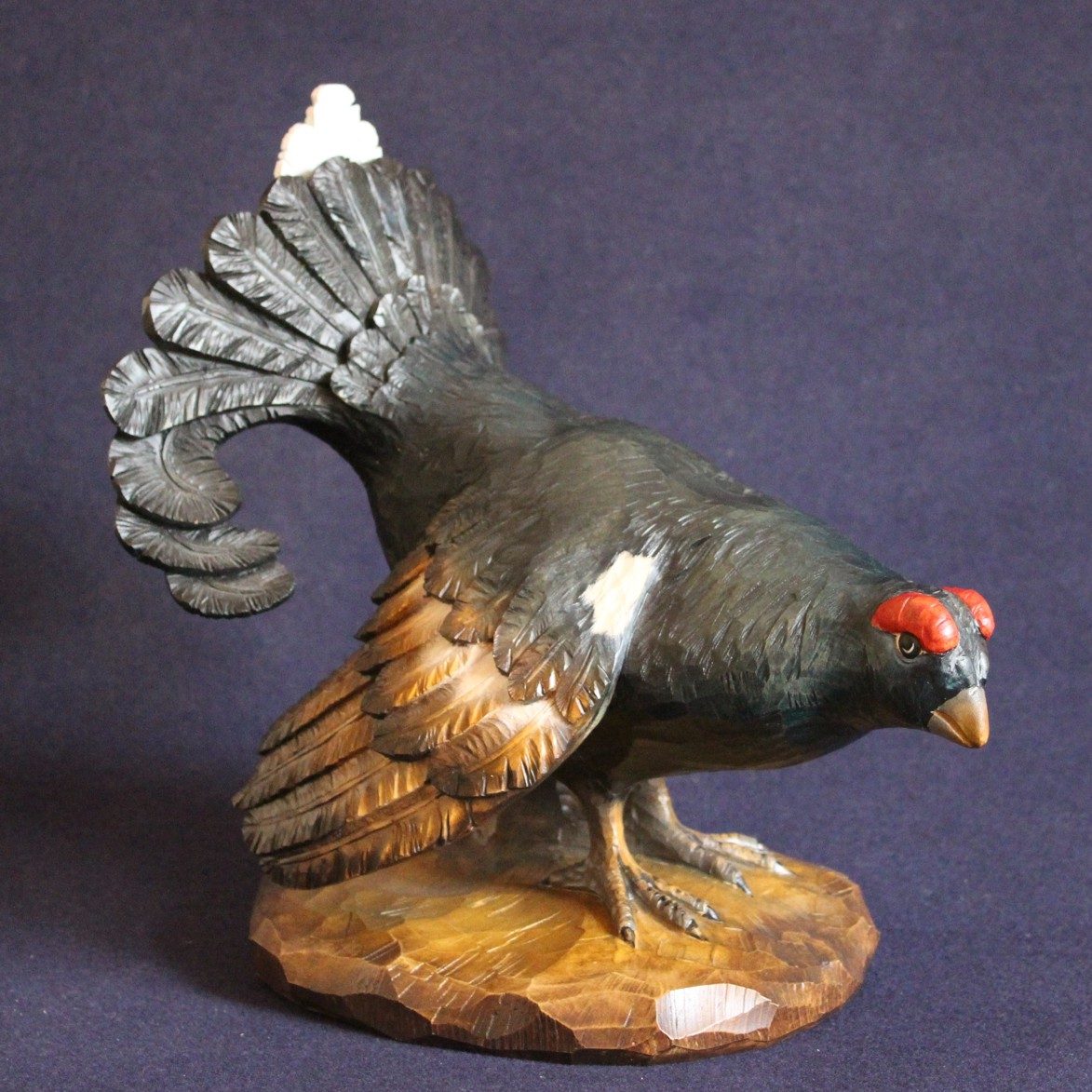 Gallo Forcello