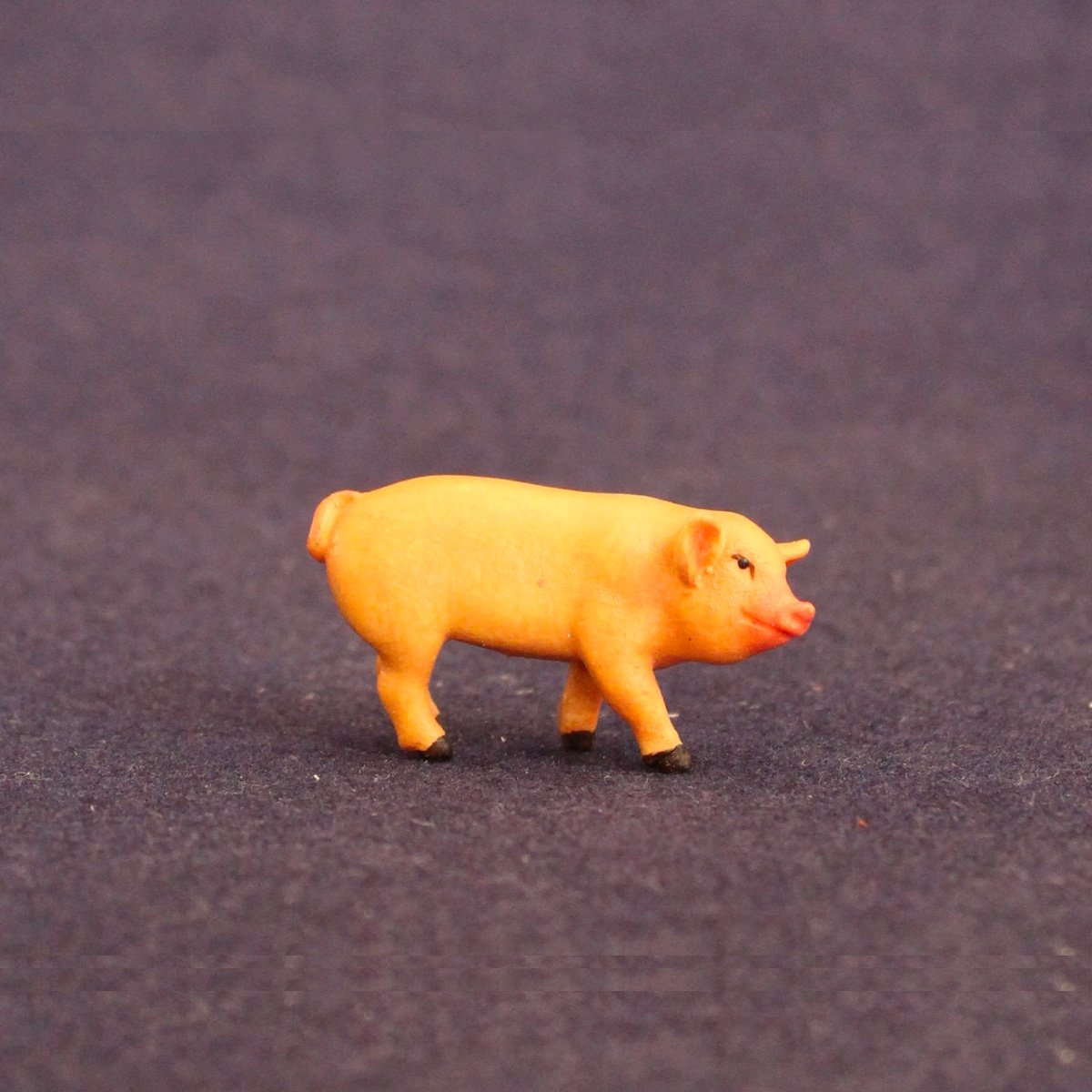Maialino