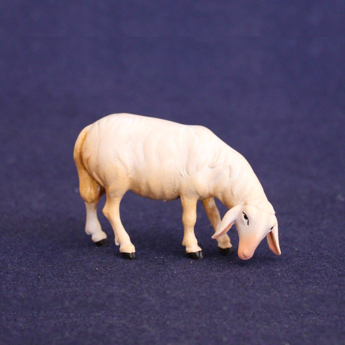 Pecora