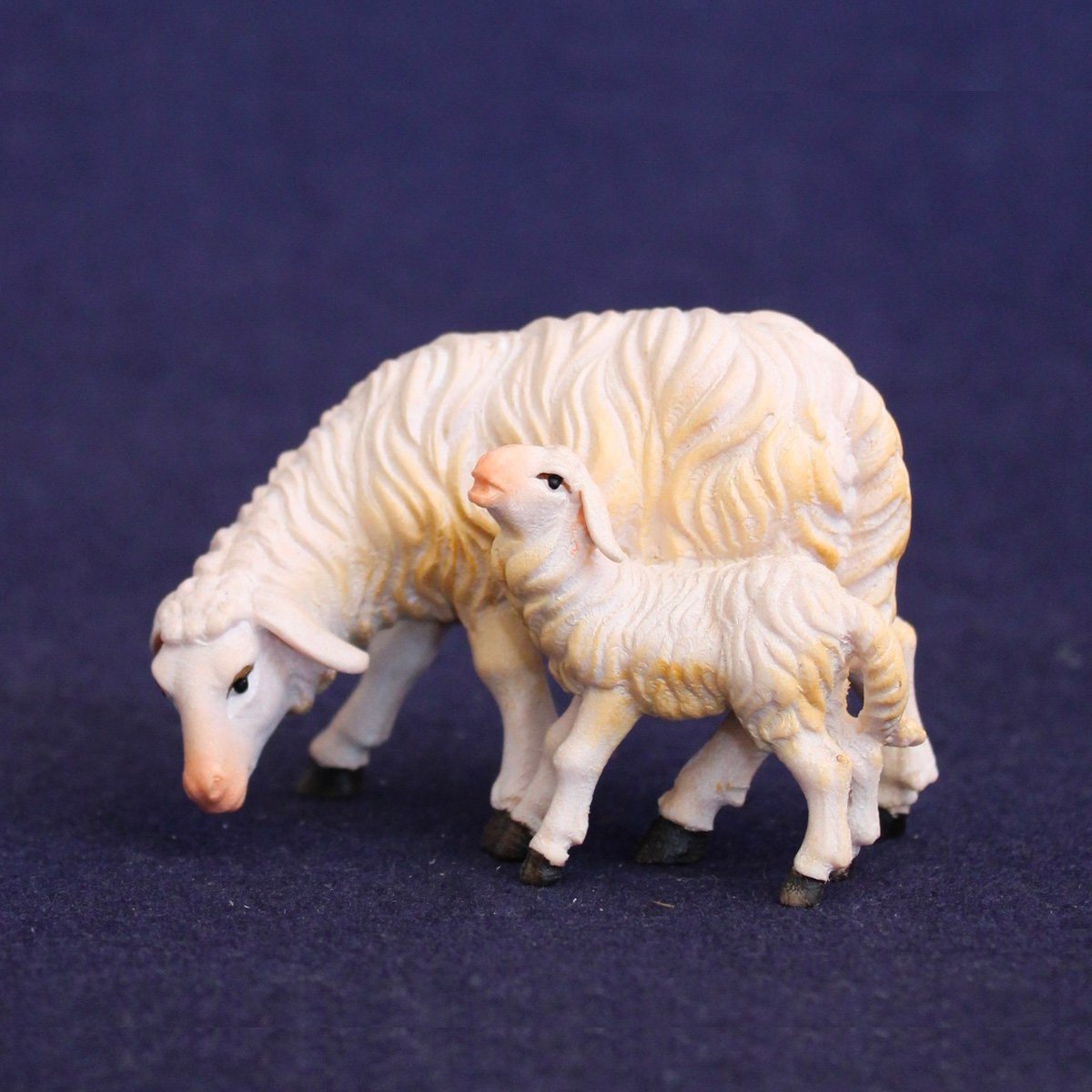 Pecora