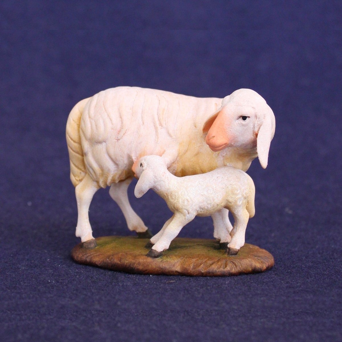 Pecora
