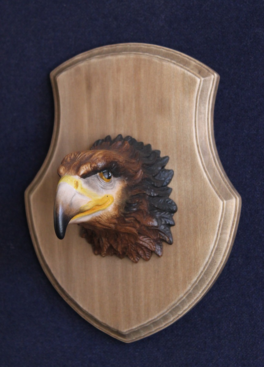 Testa aquila